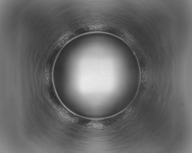 X0000079300648200612011751