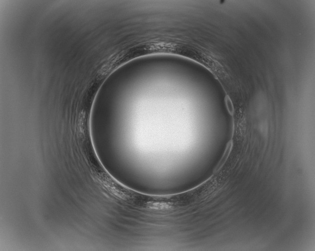 X0000079300649200612011751