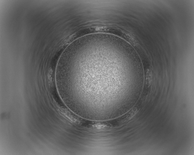 X0000079300650200612011751