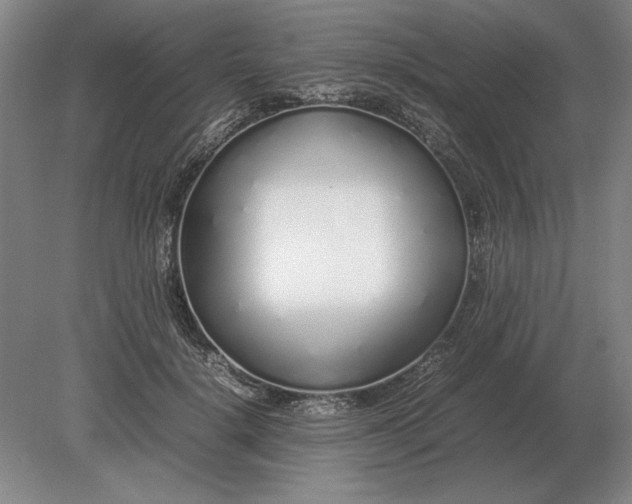 X0000079300652200612011751