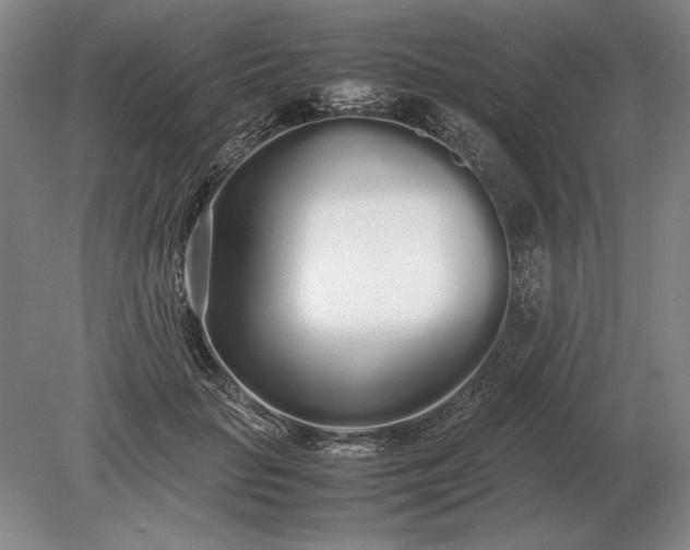 X0000079300653200612011751