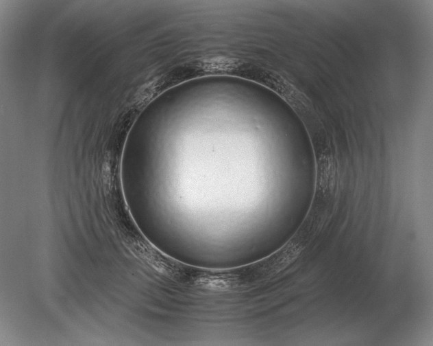 X0000079300655200612011751