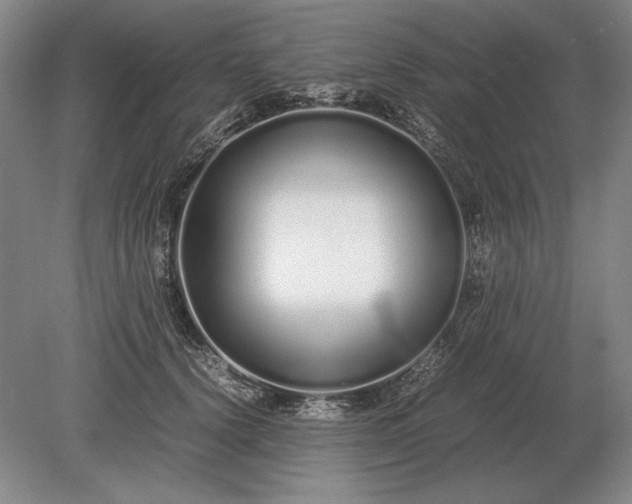 X0000079300656200612011751