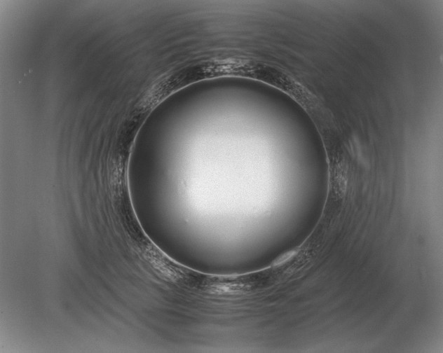 X0000079300657200612011751