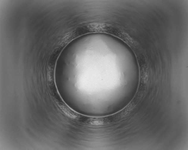 X0000079300658200612011751