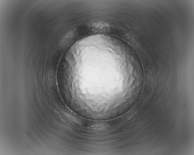 X0000079300659200612011751