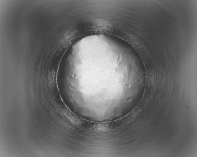 X0000079300660200612011751