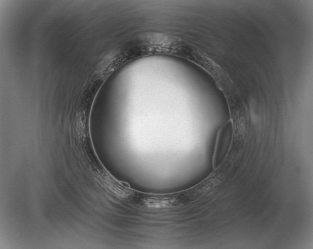 X0000079300661200612011751
