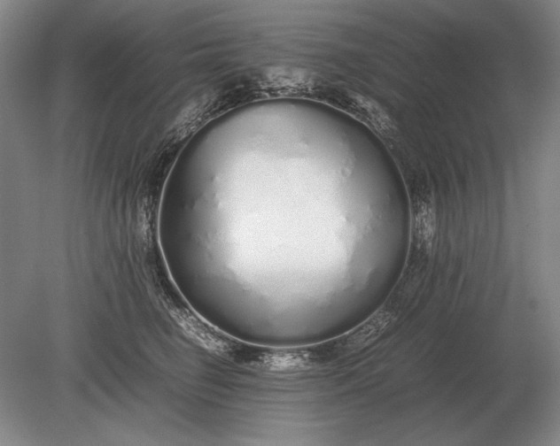 X0000079300662200612011751