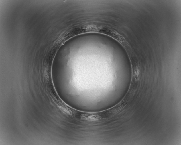X0000079300663200612011751