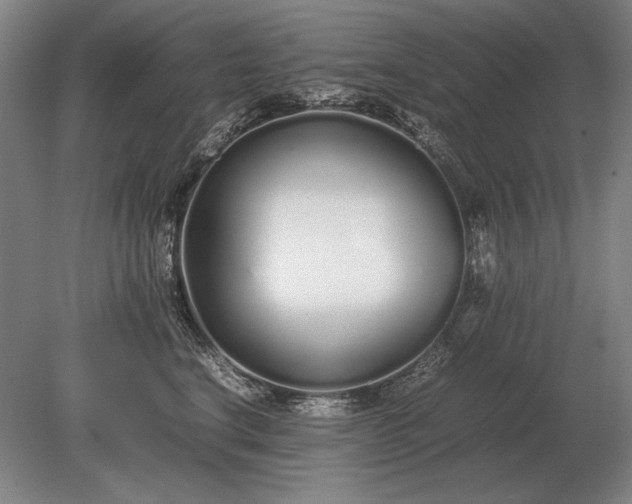 X0000079300664200612011751