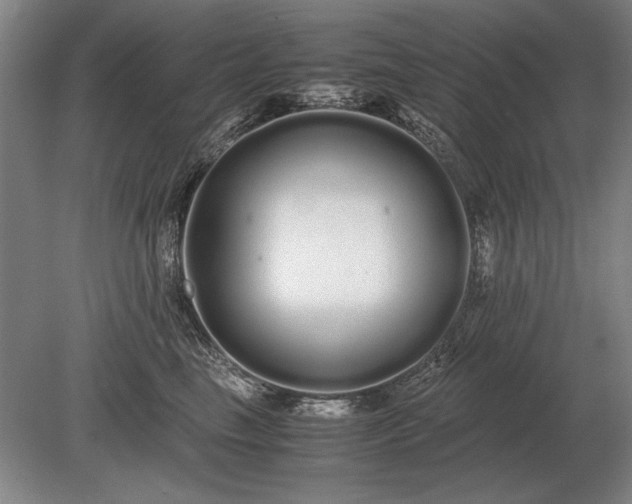 X0000079300665200612011751