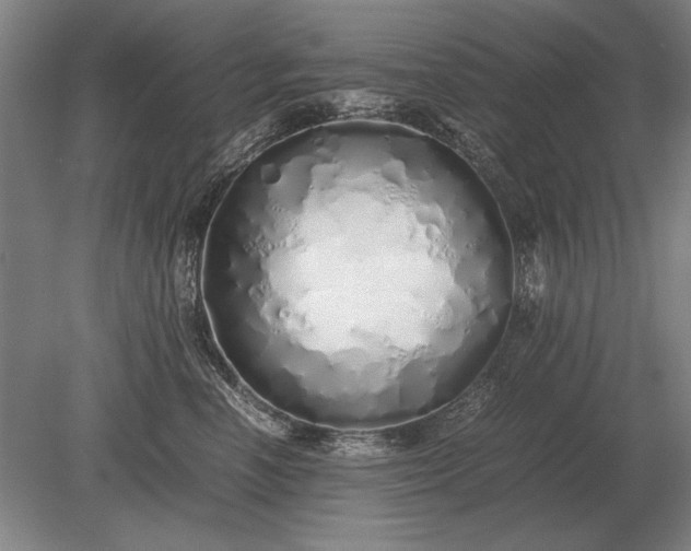X0000079300666200612011751