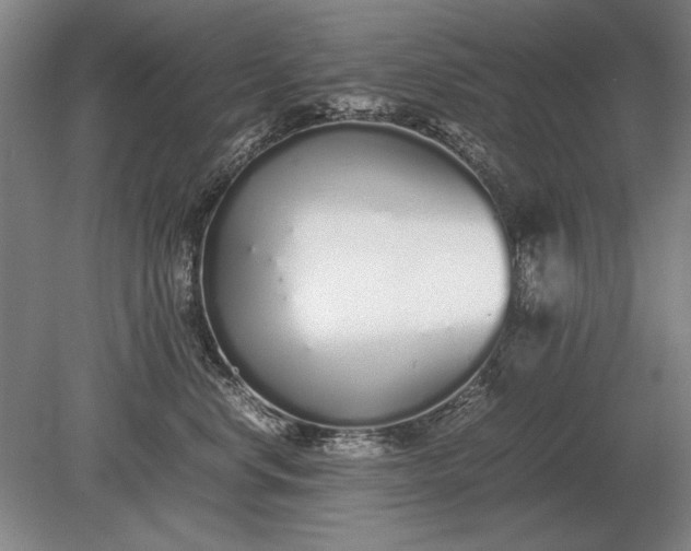 X0000079300668200612011751