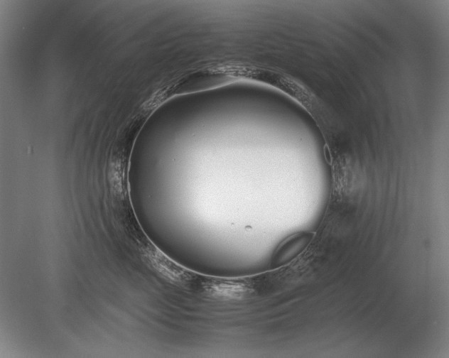 X0000079300669200612011751