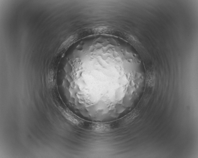 X0000079300670200612011751