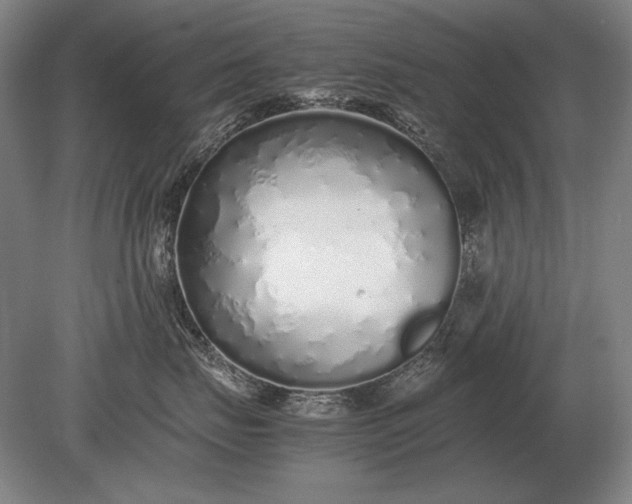 X0000079300671200612011751
