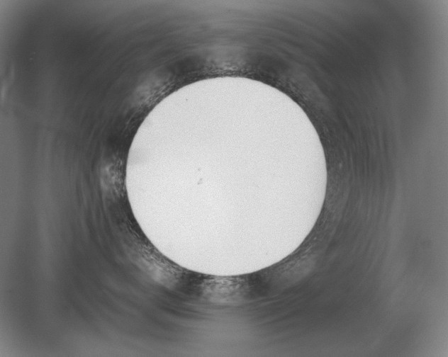 X0000079300672200612011751