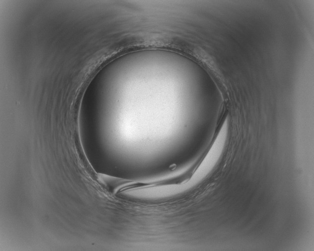 X0000079300673200612011750