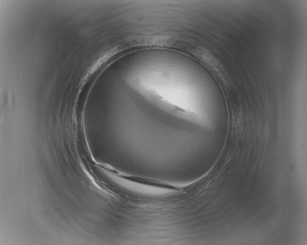 X0000079300674200612011750