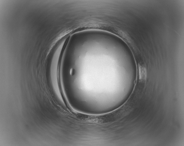 X0000079300675200612011750