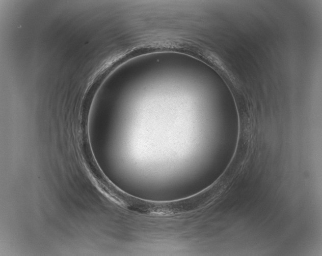 X0000079300677200612011750