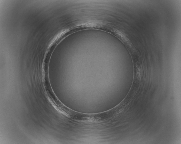 X0000079300678200612011750