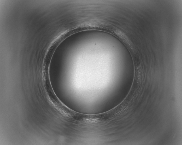 X0000079300680200612011750