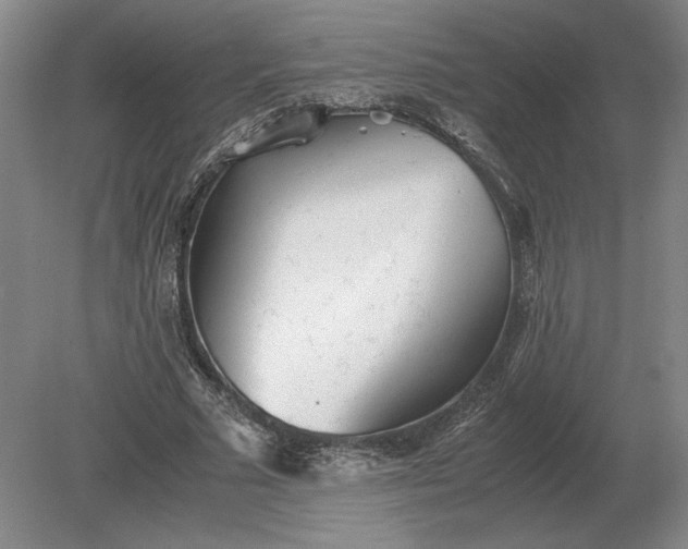 X0000079300681200612011750