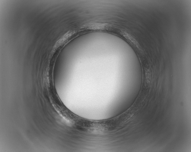 X0000079300682200612011750