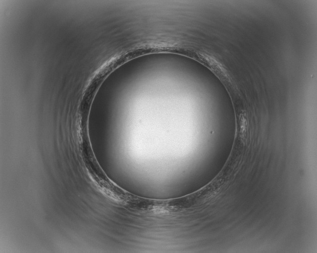 X0000079300684200612011750
