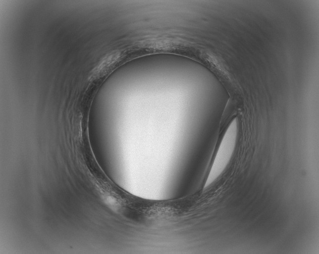 X0000079300685200612011750