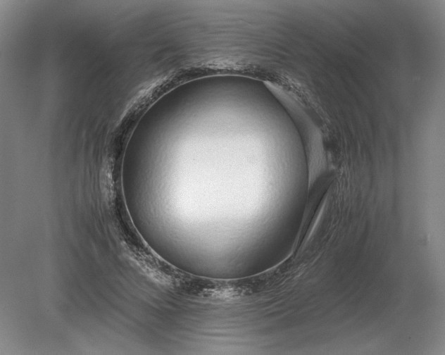 X0000079300688200612011750