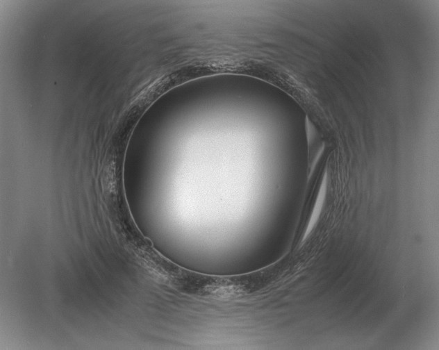 X0000079300689200612011750
