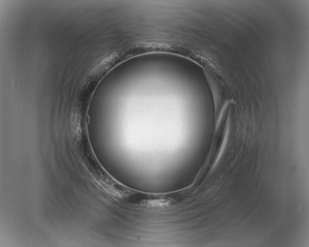 X0000079300692200612011750
