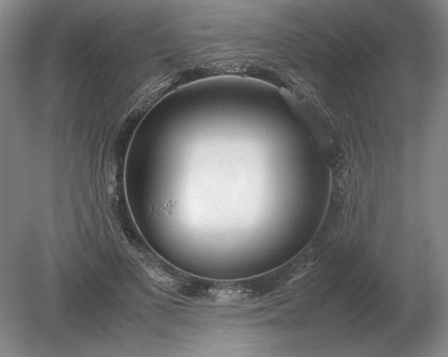 X0000079300693200612011750