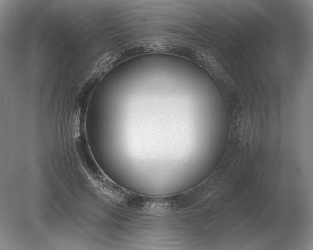 X0000079300694200612011750