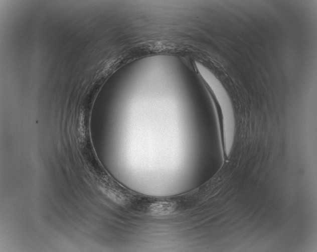 X0000079300700200612011750