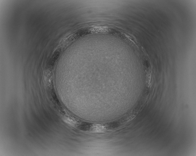 X0000079300701200612011750