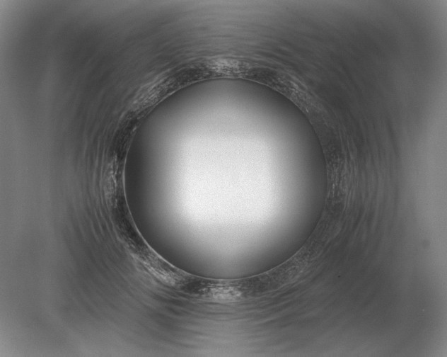 X0000079300702200612011750