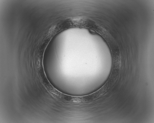 X0000079300703200612011750