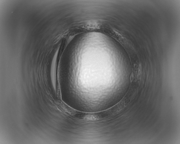 X0000079300704200612011750