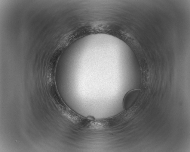 X0000079300706200612011750