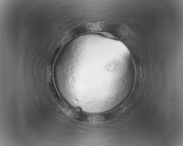 X0000079300707200612011750