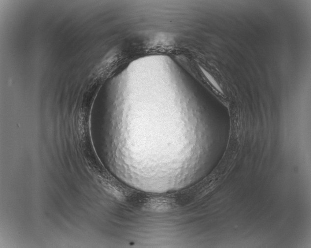 X0000079300708200612011750
