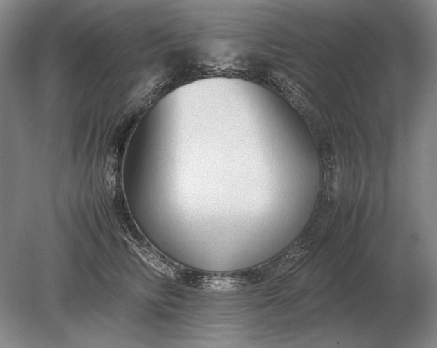X0000079300710200612011750
