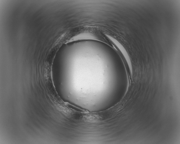 X0000079300712200612011750