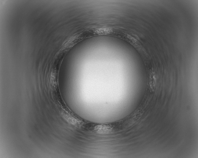 X0000079300714200612011750