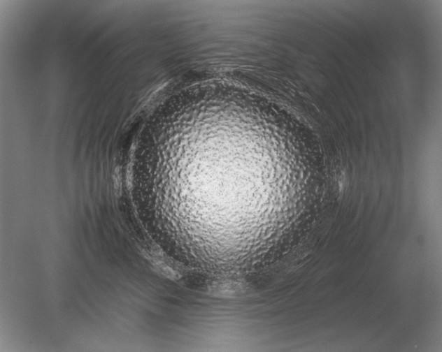 X0000079300716200612011750