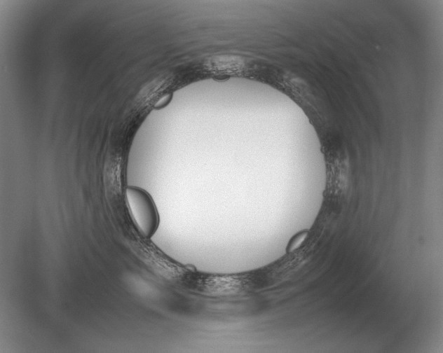 X0000079300717200612011750